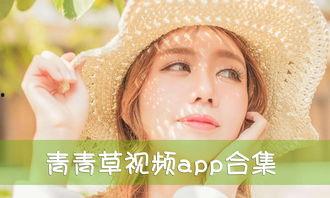 青青草免费国产,国产影视的崛起与魅力展现