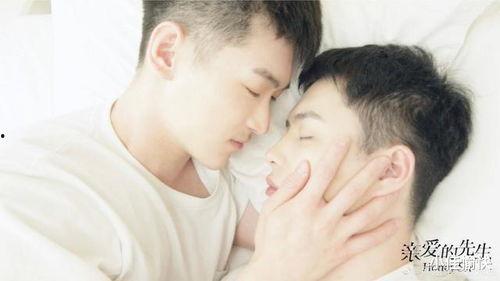 国产同性,情感与现实的交织